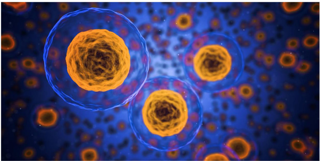 Illustration of Stem Cells